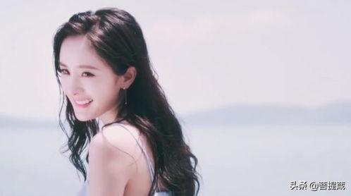 娱乐圈吃瓜群众们